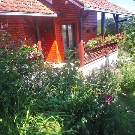 Guest House Little Heaven Uzice Bagian luar foto