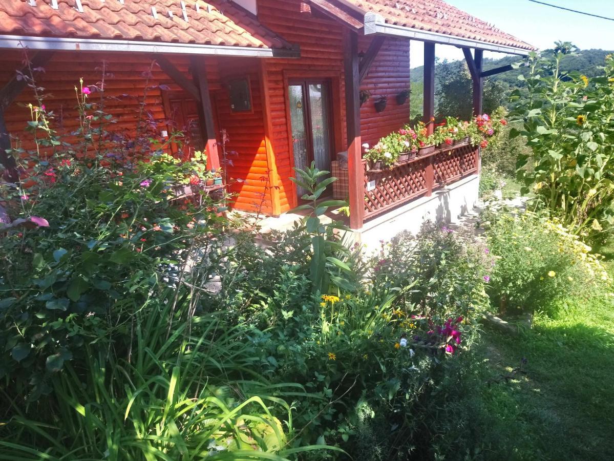 Guest House Little Heaven Uzice Bagian luar foto